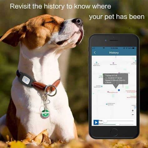 Dog GPS & Health tracking 